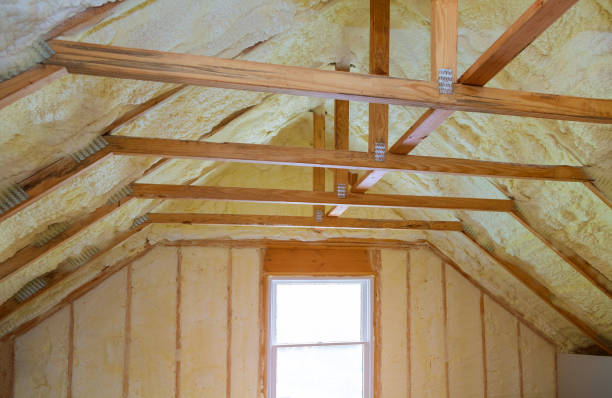 Best Specialized Insulation Services in El Cerro, NM