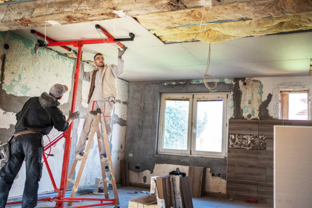 Best Geographic-Specific Insulation Services in El Cerro, NM