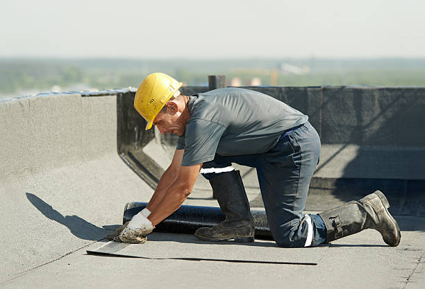 Best Insulation Maintenance and Repair in El Cerro, NM