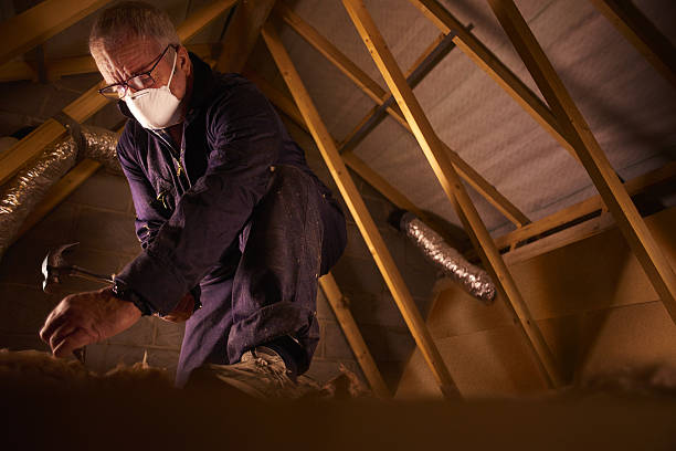 Best Eco-Friendly Insulation in El Cerro, NM